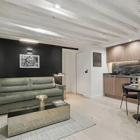 Appartement Duplex Parisien Pres Du Louvre *